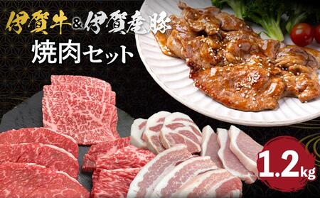 ɉꋍɉY ēZbg 1.2kg