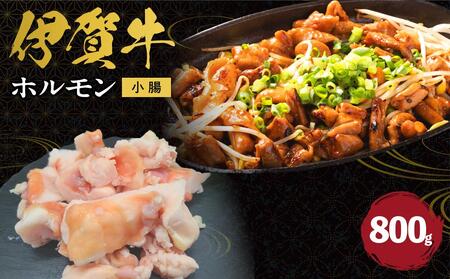 ɉꋍ zij800g