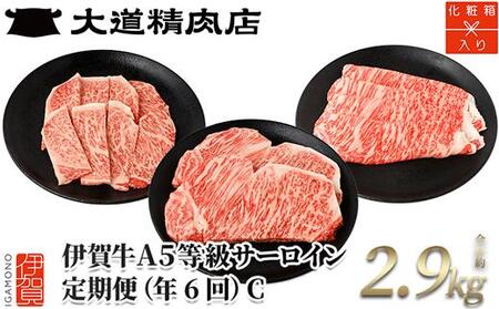 [年6回]伊賀牛 A5サーロイン 定期便コースC 総合計約2.9kg