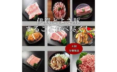 【6回分割発送】伊賀とよさ豚まるごと食べ尽くし