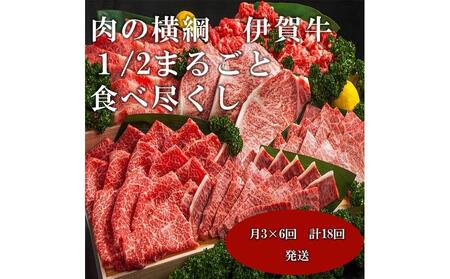 [月3×6回 計18回発送]肉の横綱 伊賀牛1/2まるごと食べ尽くし