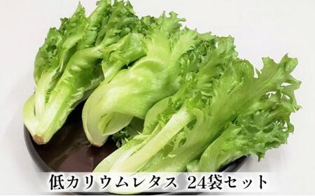 アノレタス（リーフレタス）新鮮シャキシャキ 栽培期間中無農薬低カリウムレタス 24袋セット