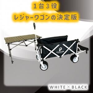 ピクニCAR WHITE×BLACK 1台 天板(黒)フルセット