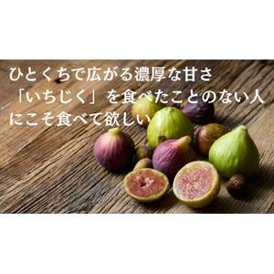 THE FIG `炲ƐHׂ邢`@300g×4pbNZbgyzsnFzy1644926z