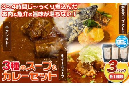 3種のスープ&カレーセット(テールスープ、牛タンカレー、魚介スープカレー) 焼肉一 un 株式会社アンサンブル[30日以内に出荷予定(土日祝除く)]三重県 東員町 テールスープ 牛タンカレー