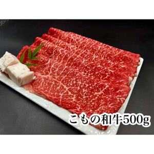 ̘ačg ĂEԂԗp500gyzsnFzy1676408z