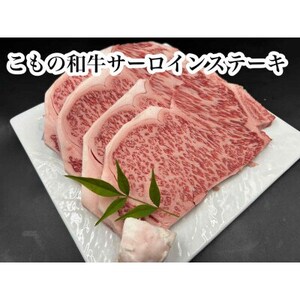 ̘a@ċT[CXe[L180g×4yzsnFzy1676414z