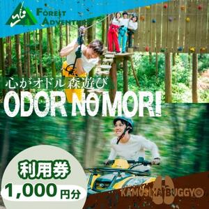 Ih̐X@p@1000~y1672991z