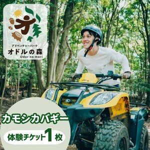 �I�h���̐X�@�J���V�J�o�M�[�@1���l���p���y1673010�z