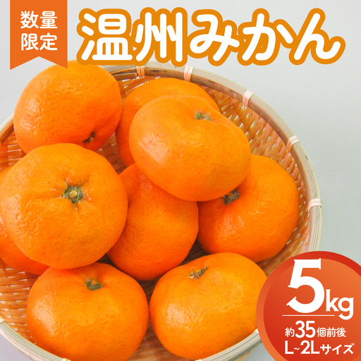 多気町産 温州みかん 5kg L～2Lサイズ 約35個前後 蜜柑 みかん ミカン 柑橘類 柑橘 フルーツ 果物 くだもの 人気 美味しい  三重県 多気町 GF-04