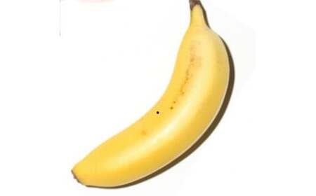 平均糖度25度以上 国産 無農薬 皮ごと食べられる「ともいき伊勢バナナ」