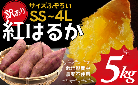 ≪訳あり≫ 栽培期間中農薬使用 サツマイモ 5kg 紅はるか  さつまいも サツマイモ ワケアリ ワケアリ わけありさつまいも詰め合わせ 芋 いも 三重県 多気町 GE‐01