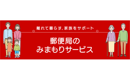 郵便局のみまもりサービス「みまもり訪問サービス」(3か月)TKY-01