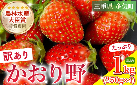 1kg (250g×4) 農林水産大臣賞受賞農園からお届けする[訳アリ]かおり野(小粒)/いちご イチゴ 苺 三重県 多気町 ISH-02