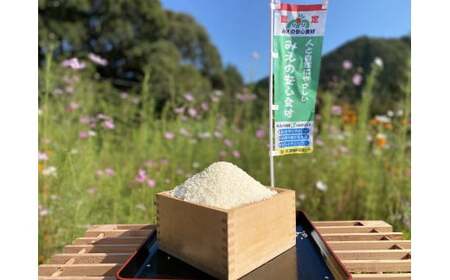 コシヒカリ 5kg れんげ緑肥で育てたみえの安心食材の認定 化学肥料 不使用 みえ 安心食材認定 国産 コシヒカリ コシヒカリ コシヒカリ コシヒカリ