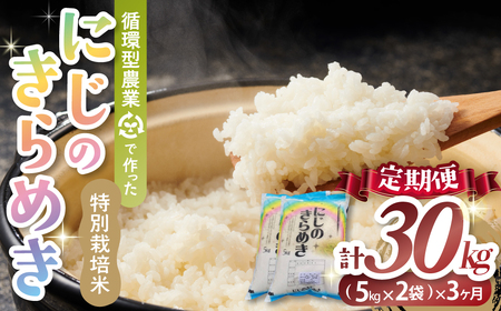 【3ヶ月定期便】令和7年産 計30kg 10kg (5kg×2) ×3回 9月開始 特別栽培米 循環型農業で作った にじのきらめき 特別栽培 先行 先行予約 精米 白米 30kg 10kg 5kg 米 定期便 米 定期便 米 定期便 米 定期便 TC-0603