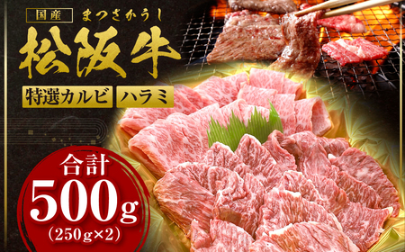 松阪牛 焼肉 スペシャル 特選カルビ ハラミ 500g(250g×2) 松阪牛 肉 ハラミ カルビ 松阪牛 肉 ハラミ カルビ 松阪牛 肉 ハラミ カルビ 松阪牛 肉 ハラミ カルビ