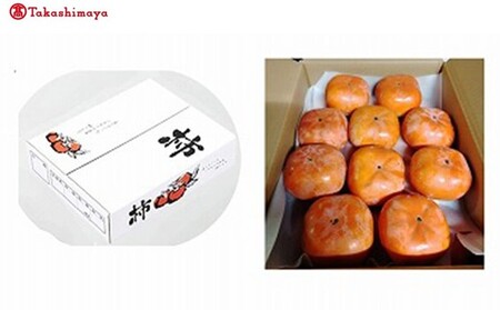 yIiz_Od̈SHޔF _̎Y` 傫߃TCY10i3Oj Od C TSY-05-01