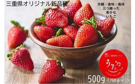 三重県オリジナルいちご新品種 希少な「うた乃」 500g(250g×2) いちご 希少 三重県 多気町 YMS-01