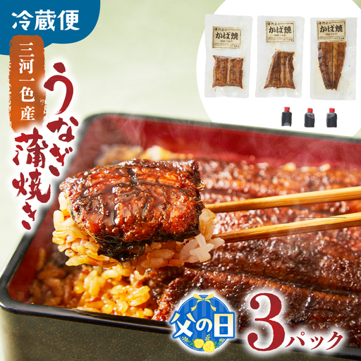 [父の日ギフト]3代目が焼く蒲焼き真空パックA 3パック 国産 うなぎ 父の日