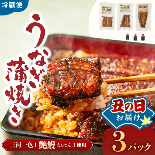 [土用の丑の日お届け]3代目が焼く蒲焼き真空パックA 3パック 鰻