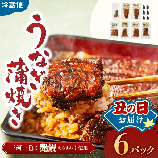 [土用の丑の日お届け]3代目が焼く蒲焼き真空パックB 6パック 鰻 丑の日