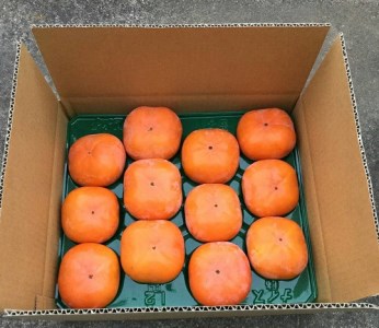 NS-01 西本農園の次郎柿