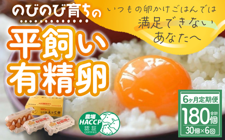 【6ヶ月定期便】計180個 のびのび育ちの平飼い有精卵 30個×6ヶ月 定期 定期便 平飼い 有精卵 たまご 卵 玉子 タマゴ 鶏卵 オムレツ 卵かけご飯 たまご焼き 国産 すき焼き 三重県 多気町 JK-05