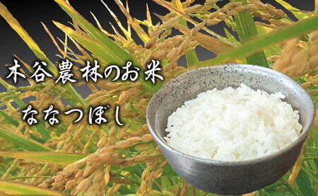 6-060-008 新米・増毛町産ななつぼし 10kg×3ヶ月(1月〜3月)[木谷農園]
