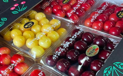 8-042-002　山口さんちのさくらんぼ 4種堪能セット 1.6kg