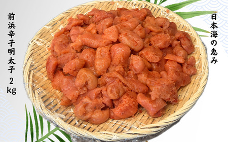 8-011-010 日本海の恵み 前浜辛子明太子 2kg