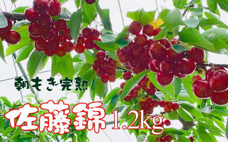 8-014-021　ヤマセン仙北果樹園のさくらんぼ　佐藤錦（L～2Lサイズ）たっぷり1.2kg