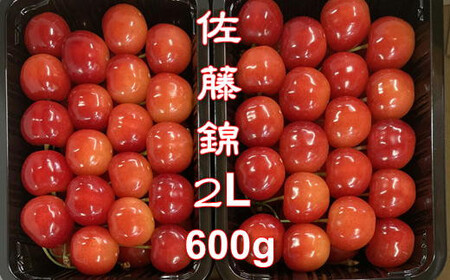 8-015-013　秋香園 さくらんぼ 佐藤錦 600g（2L）