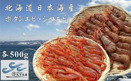 8-026-002　冷凍ボタンエビ・しまえびセット 各500g