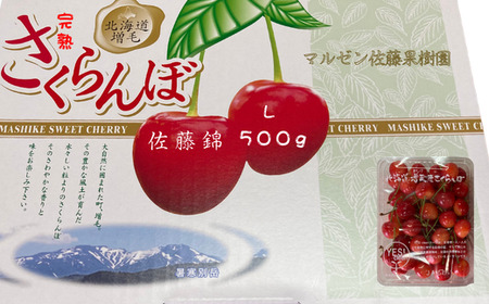 8-009-003　完熟さくらんぼ 佐藤錦（L）500g　マルゼン佐藤果樹園