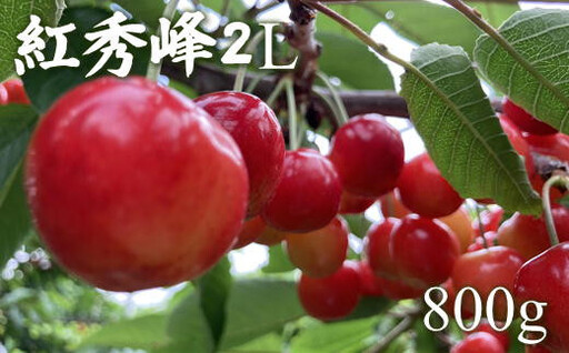 8-015-009　冨野果樹園のさくらんぼ 紅秀峰（2L以上）800g