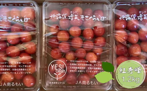 8-020-011 尾久果樹園のさくらんぼ 紅秀峰(2L)1.2kg