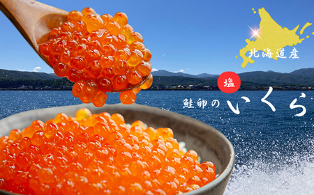 8-013-007 [北海道産]塩いくら 100g入