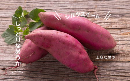 8-010-013　さつまいも（シルクスイート）5kg【マルゼン佐藤果樹園】