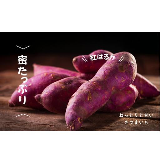 8-010-012　さつまいも（紅はるか）5kg【マルゼン佐藤果樹園】