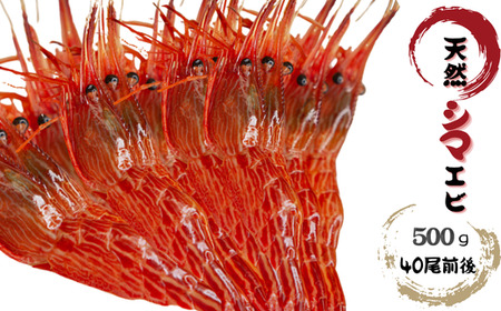 8-007-010 天然シマエビ 500g (40尾前後)