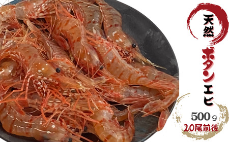 8-013-008 天然ボタンエビ 500g(20尾前後)