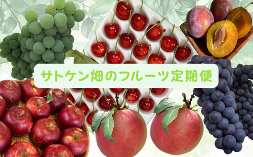 8-060-004 サトケン畑のフルーツ定期便