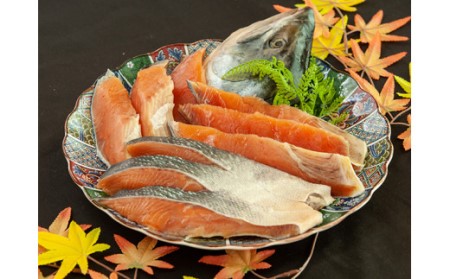 6-018-005 北海道増毛産 新巻鮭姿切り身(半身) 1.3kg