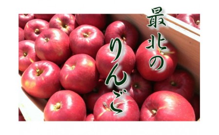 6-012-504 りんご 5kg(2種〜4種)[10月発送]