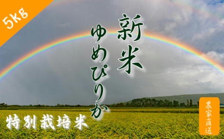 6-012-060 新米・増毛町産特別栽培米 ゆめぴりか 5kg[前野ファーム]