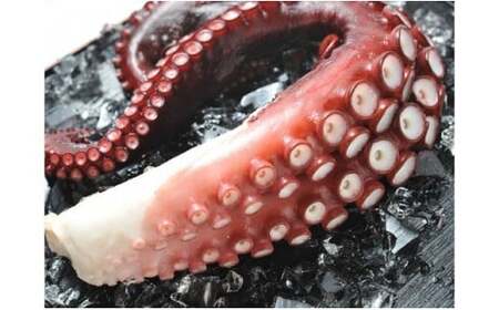 7-030-001@_炩Zbg 2.4kgi800g×3j