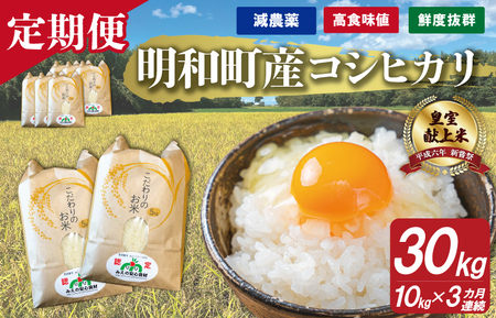 OdY R{_ŶāiRVqJj̒ 10kg×3 yn3