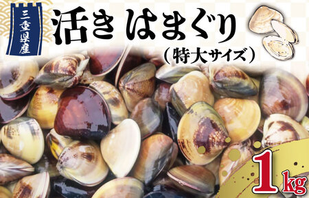 【しもい水産】三重県産　活きはまぐり　特大サイズ　1㎏