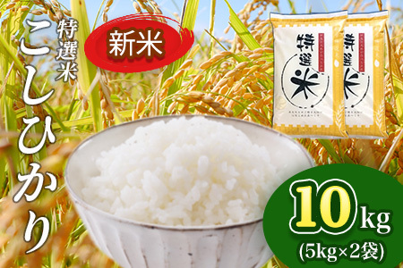 ߘa7NY I RVqJ 10kg  MK5